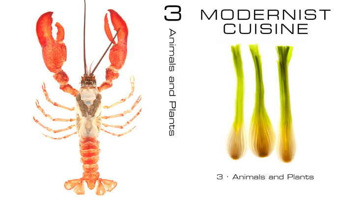 modernist cuisine