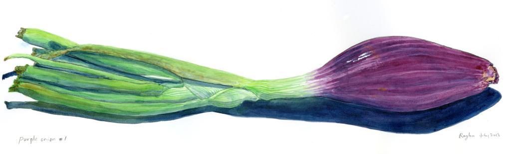 PurpleOnion1_July2013