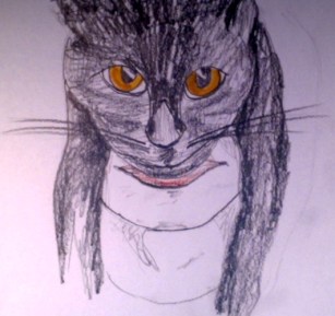 no alt text can properly describe this