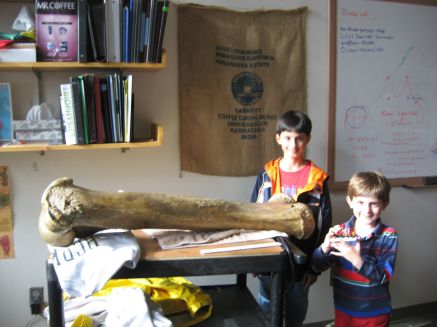 kids and elephant femur
