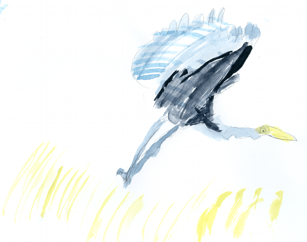 Heron_Suryan_29Nov2014