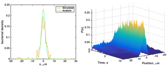 bacteriaP_parabola_both
