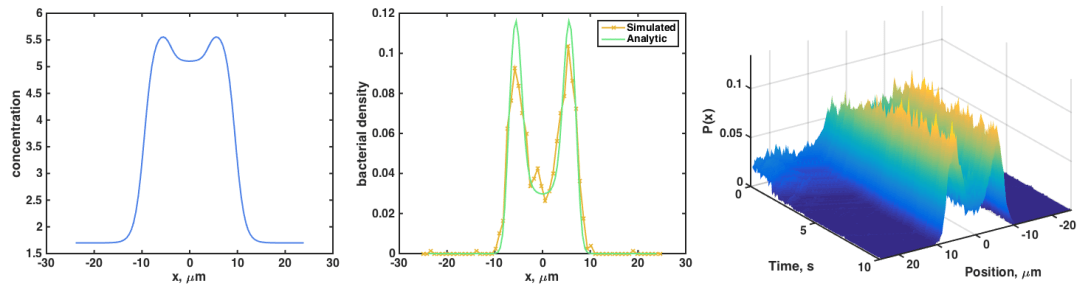 bacteriaP_twostep_all