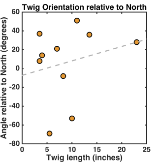 twig_orientation_north