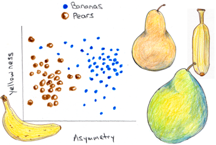 bananas_pears_classifer_graph_with_fruits