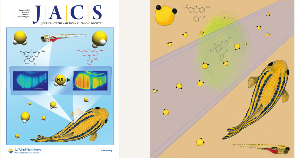 JACS_cover_and_RPsubmission
