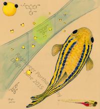 Parthasarathy_Pluth_Cover_Illustration_June2015_small