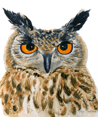 owl watercolor