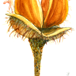 Scientific publishing for non-scientists