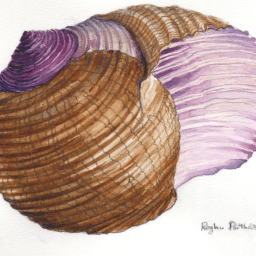 Course recap: Scientific Ethics (Spring 2016)