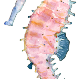 How are your intestines like a tide pool?