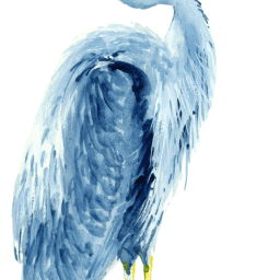 Post-election-day biophysics