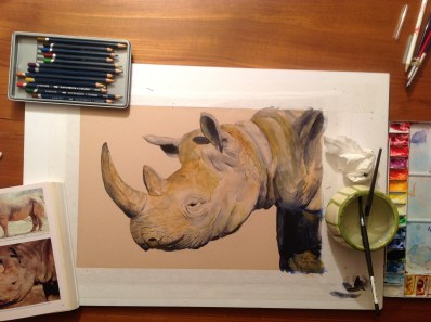 rhinoceros painting