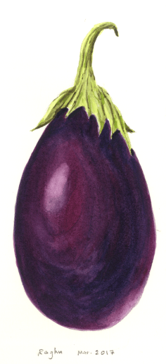 eggplant_21Mar2017.png