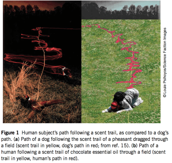 Porter 2007 Figure 1