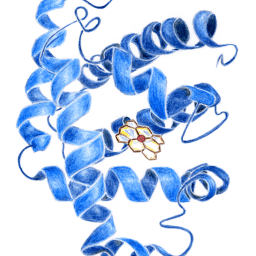 On Teaching Evaluations (with a bonus guest essay…)