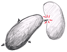 Contact_killing_11Mar16