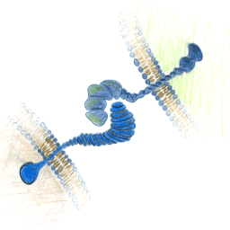 Peer Review, and Lying Injured on the Sidewalk