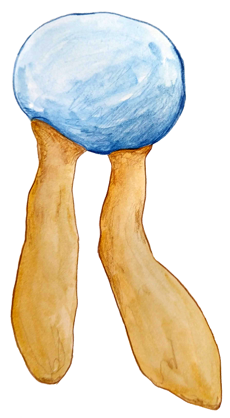 lipid_3Sept2018_lowres