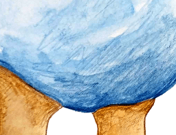 Membrane Diffusion Software