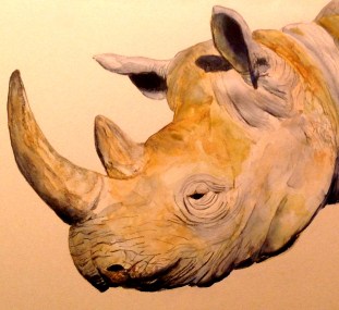 Parthasarathy_rhinoceros_PhotoOfPainting_11-28-16