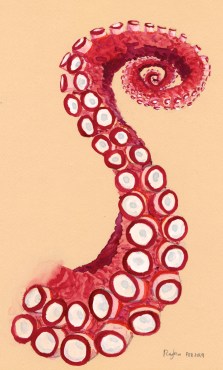 tentacle_Feb2019_small