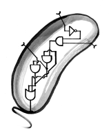 bacteria_circuit_schematic_16Apr2019