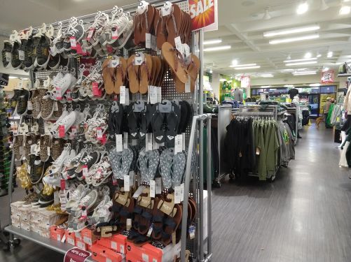 IMG_20191210_155608534