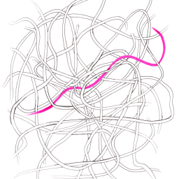 The Case of the Rising Conference Registration Fee