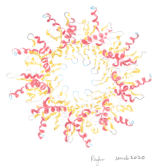 Channel 3X2R protein CsgG