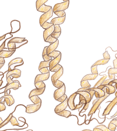 kinesin_May2018_Inset