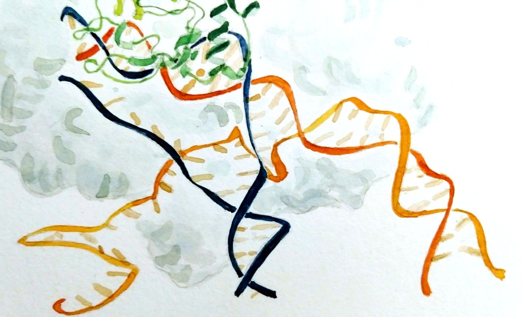 Cas9, DNA, RNA -- Raghu