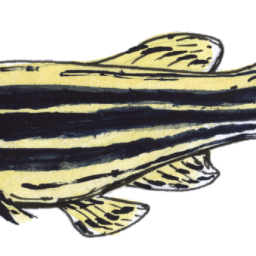 The Year in Books, 2020