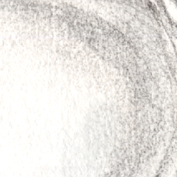 The Year in Books, 2021