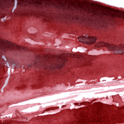 How are tears like ketchup? — What is biophysics? #8