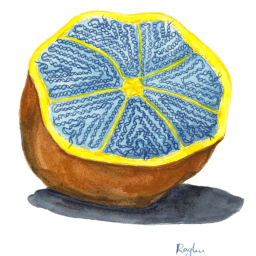 How Big Is Your Genome? — What is biophysics? #10