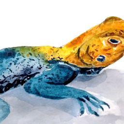 Three views of a statistics puzzle