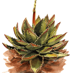 Reading Like It’s 1965