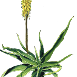 If you care about the environment, and you don’t care about numbers, do you care about the environment?