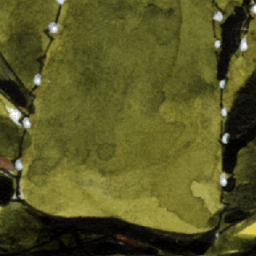 A Few Flavors of Microscopes — SAIL recap, 2023