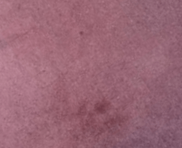 The 2024 Nobel Prize in Physics — Yes, Physics!