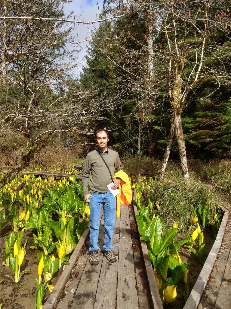 The author, among the skunk cabbage.