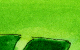 Some Like it Hot: Plant Edition