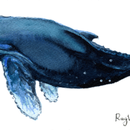 Online courses, supply and demand, and academic integrity